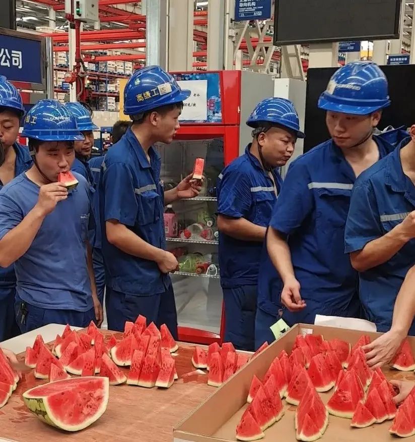 SG胜游智能“降暑套餐”，只为不服“暑”的你